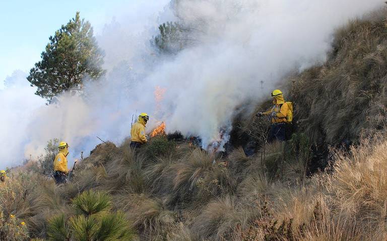 Brigadistas de Conafor exigen pago de horas extras (Durango)