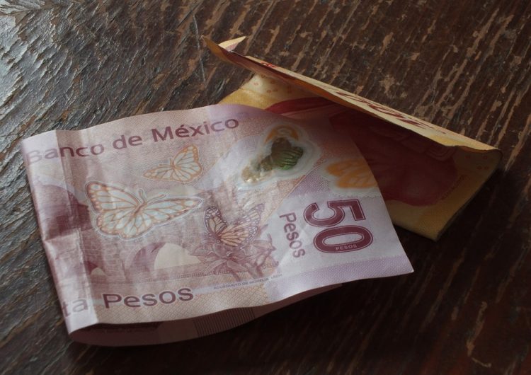 Por inflación, en Guanajuato un salario mínimo no alcanza ni para lo más básico  Fuente: https://newsweekespanol.com/2019/06/por-inflacion-en-guanajuato-un-salario-minimo-no-alcanza-para-lo-basico/ Publicado por: Jonathan Rubio