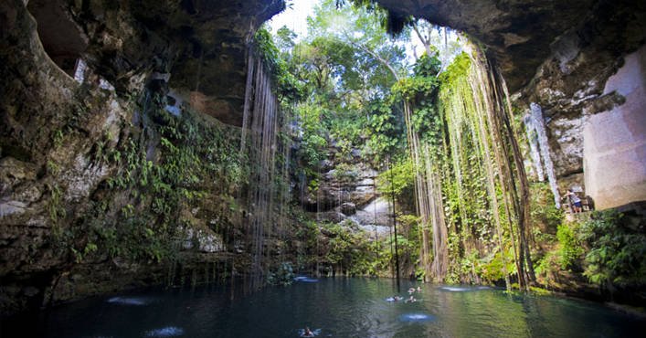 La amenaza oculta de las granjas intensivas: una bomba de residuos en el ‘Anillo de los cenotes’