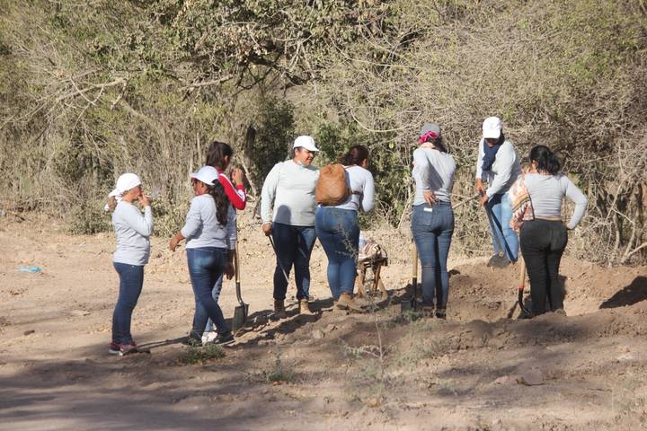 Suman 11 quejas por desapariciones forzadas en el sur de Sinaloa