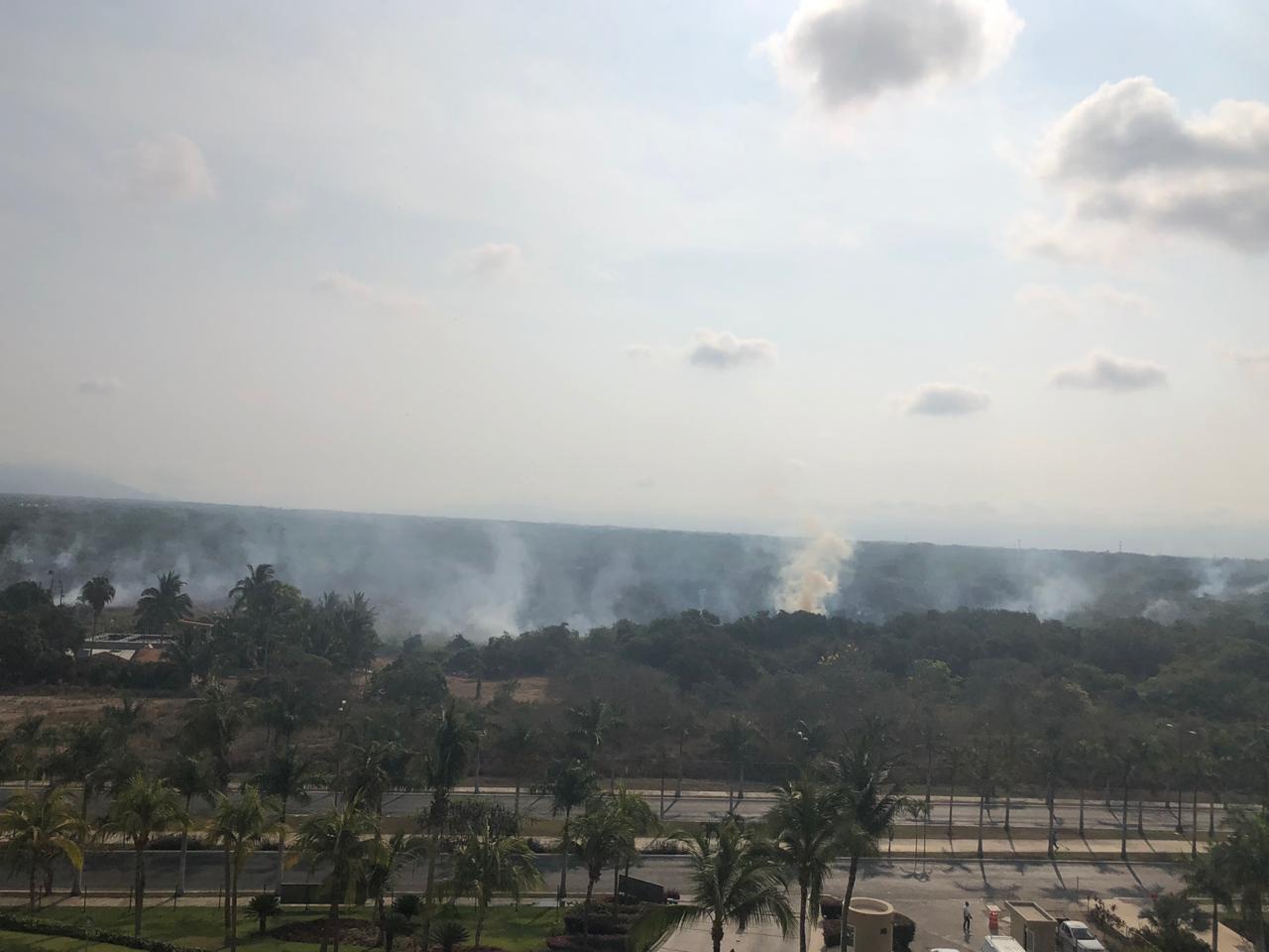 En zona de mangle: Desarrolladores incendian maleza (Nayarit)