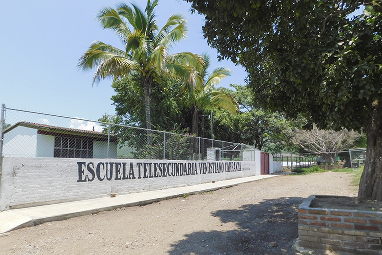 Dañan plaguicidas a niños en Autlán (Jalisco)