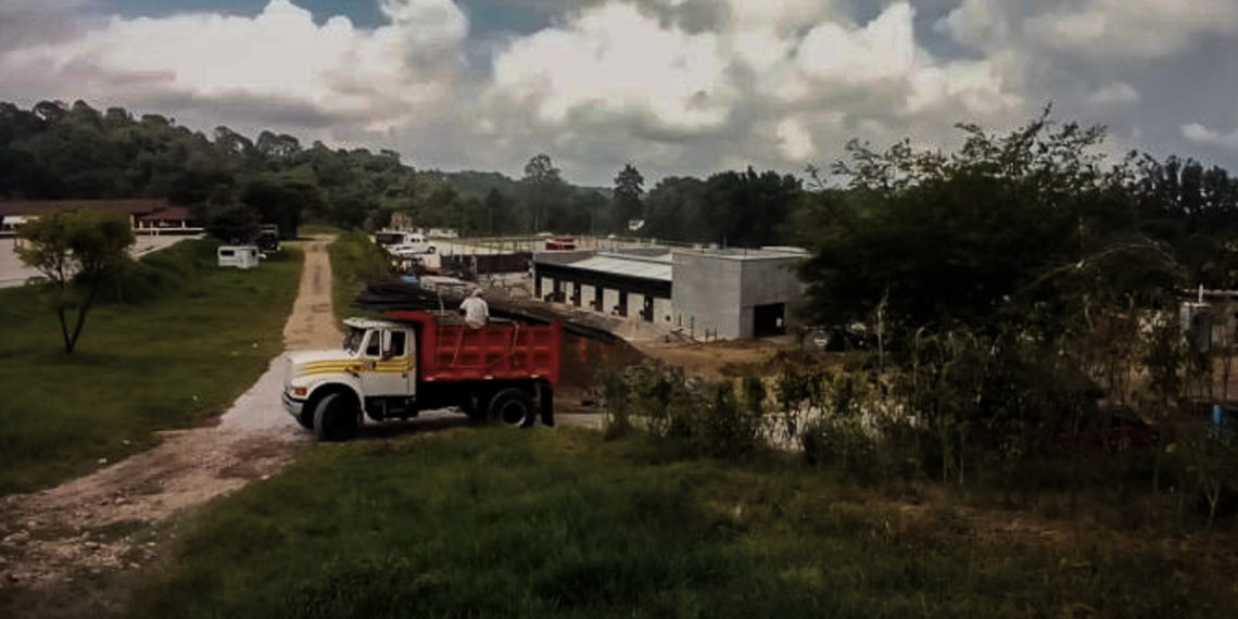 Destrucción de bosque en Veracruz, en manos de un juez