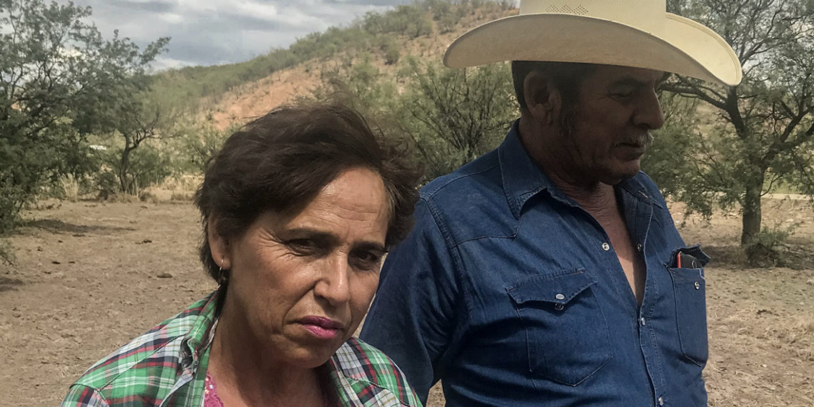 Derrame del Río Sonora: cinco años de horror