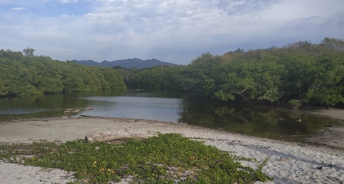 Denuncian activistas intento de secar estero; empresa niega intenciones (Jalisco)