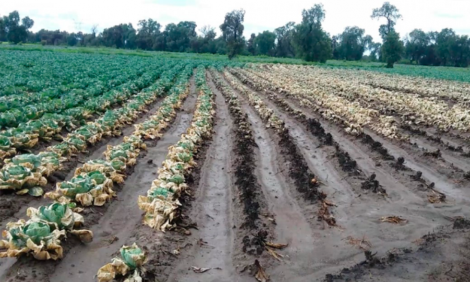 Ejidatarios, afectados por derrames de huachicol (Puebla)