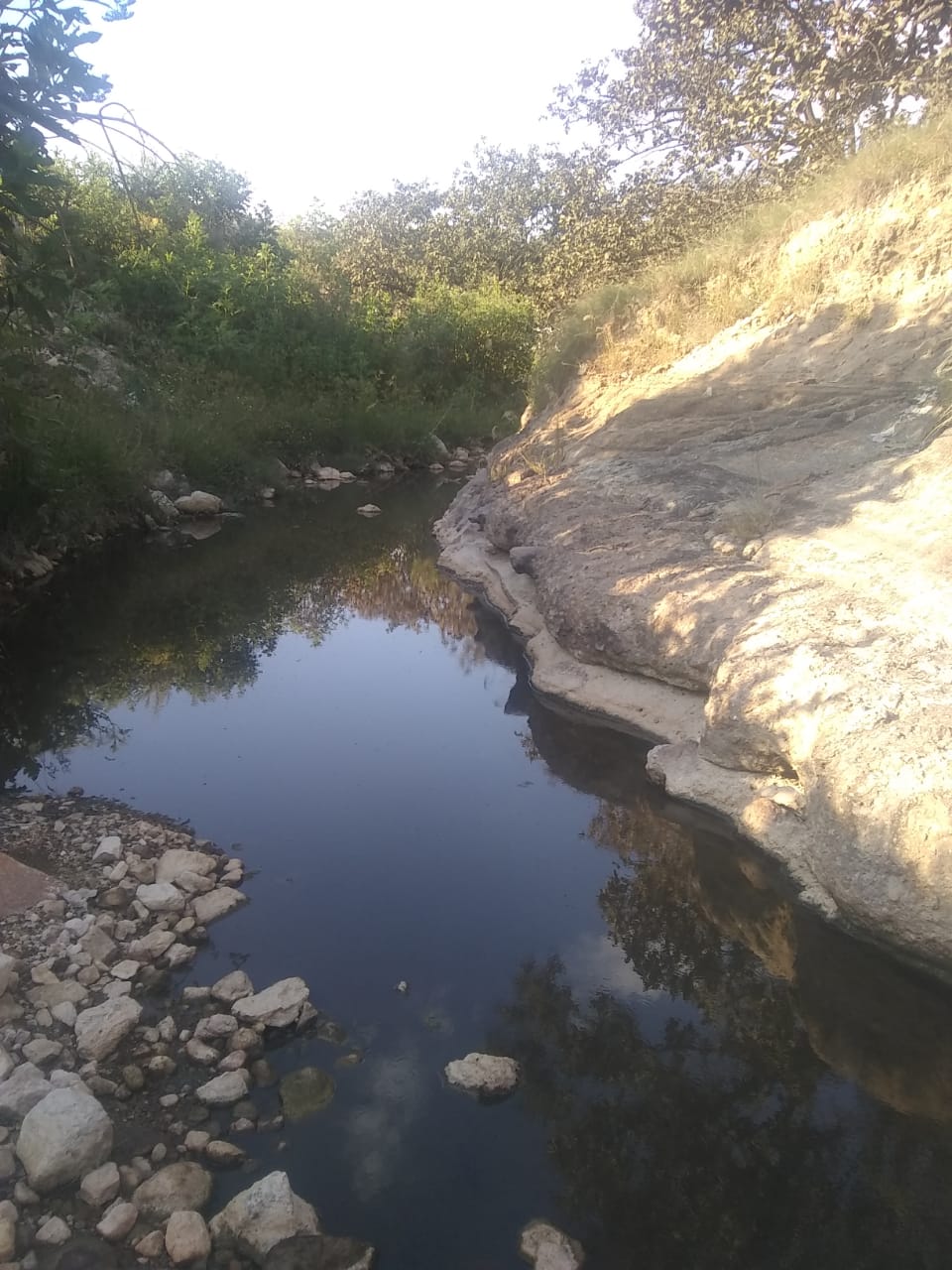 Piden al Gobernador que sanee seis ríos de Zapopan, contaminados por basureros, granjas y fraccionamientos (Jalisco)