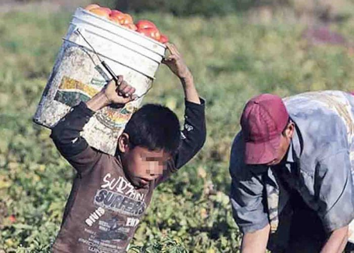 Reconocen incremento de explotación infantil (Nayarit)