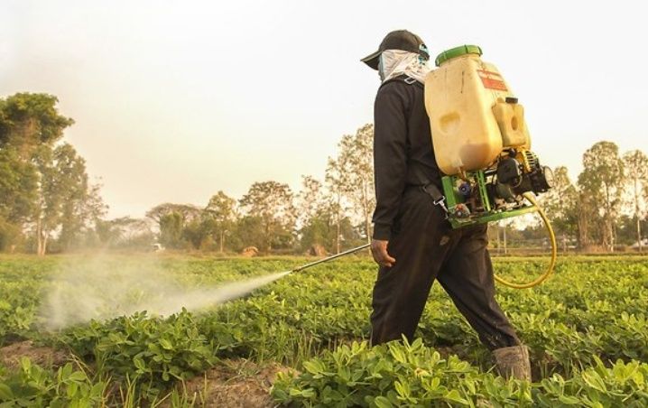 Plaguicidas principal veneno para el agua de Yucatán