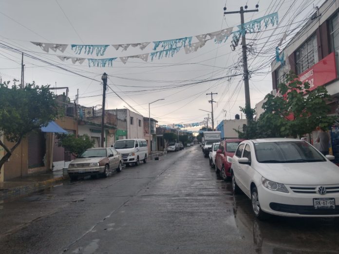 Fumigaciones insuficientes en colonias invadidas por el dengue (Jalisco)