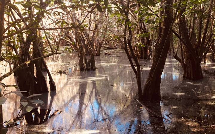 Toneladas de sustancias químicas contaminan el acuífero de la península de Yucatán