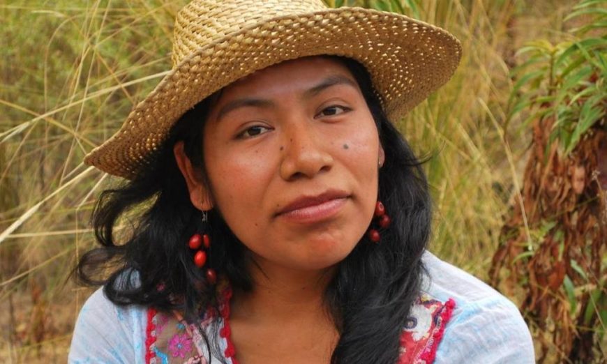 Emiten alerta tras la desaparición de la ambientalista Irma Galindo (Oaxaca)
