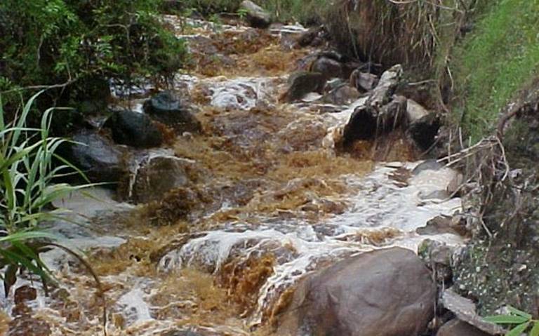 Ambientalistas atenderán contaminación del Río Blanco (Veracruz)