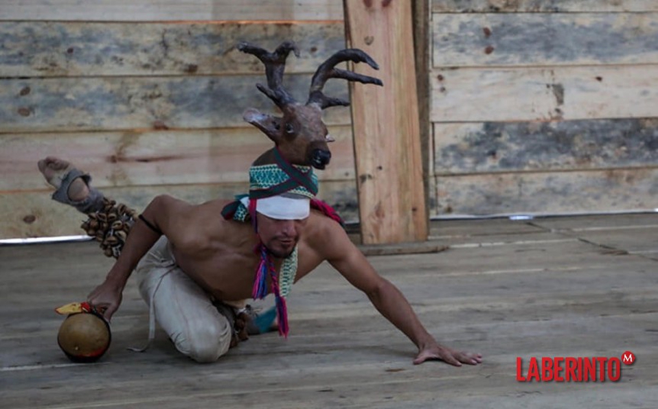 Otra danza es posible