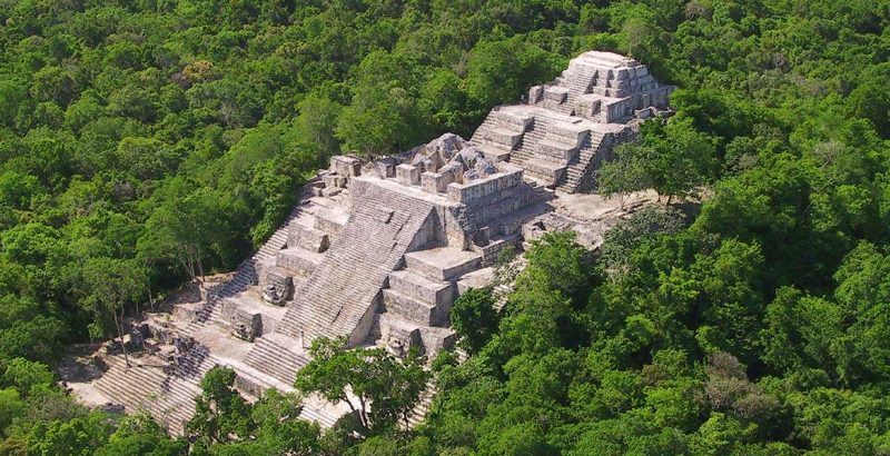 Alertan que construcción del Tren Maya ‘matará’ a Calakmul