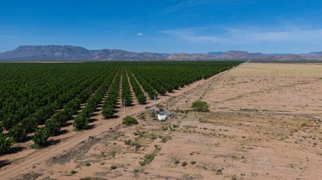 El desierto donde se trafica agua (Chihuahua)