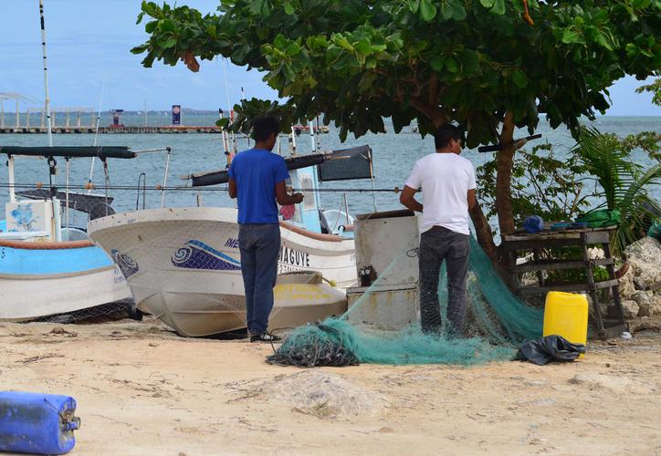 Más de 40 mil trabajadores sobreviven con “salarios de hambre” (Quintana Roo)