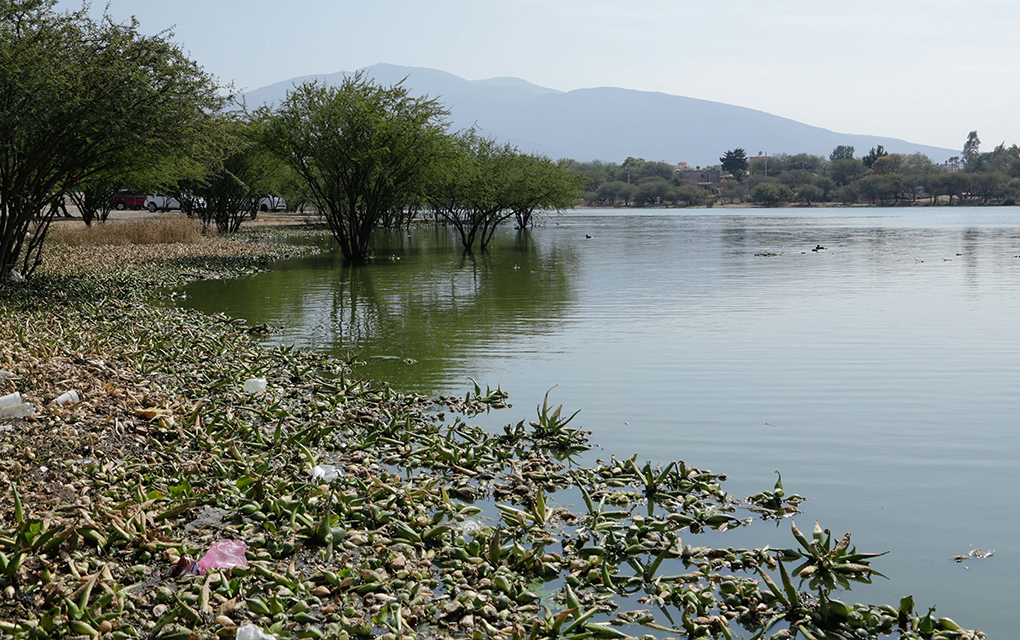 Vecinos de Santillán Tequisquiapan denuncian atropellos en subministro de agua (Querétaro)
