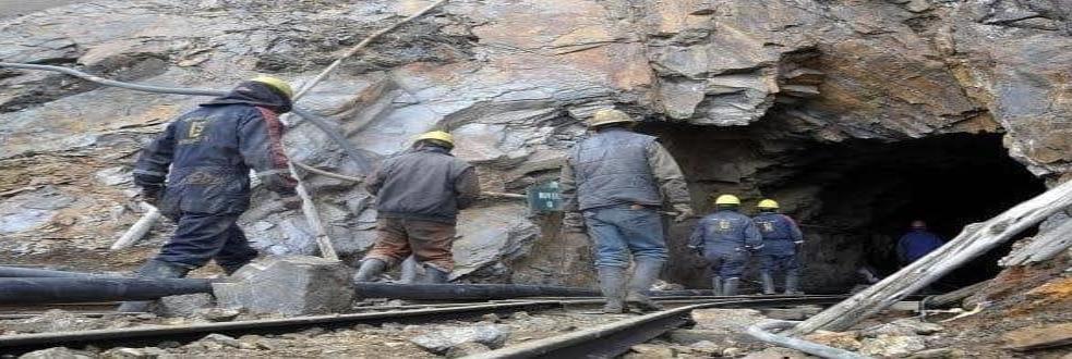 Activistas acusan que Cuitláhuac García “les quedó a deber” en materia ambiental (Veracruz)