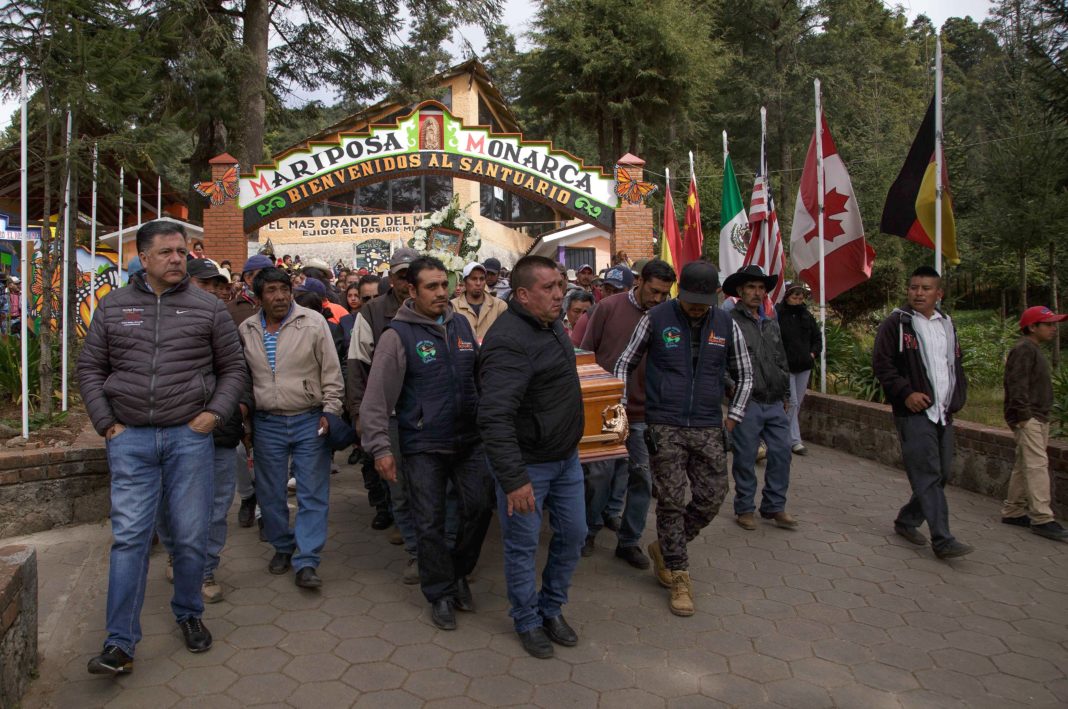 De manera impune persiste violencia contra ambientalistas en México (Michoacán, Nacional)