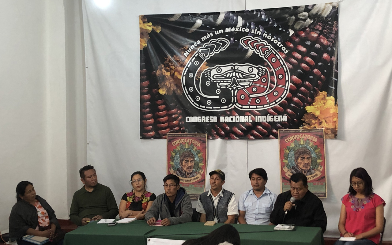 Denuncian violación del proceso en suspensión del Tren Maya