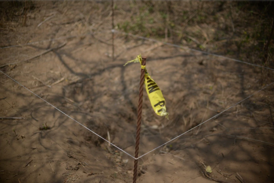 El país de las fosas: la búsqueda de desaparecidos en Veracruz revivió la angustia y el dolor