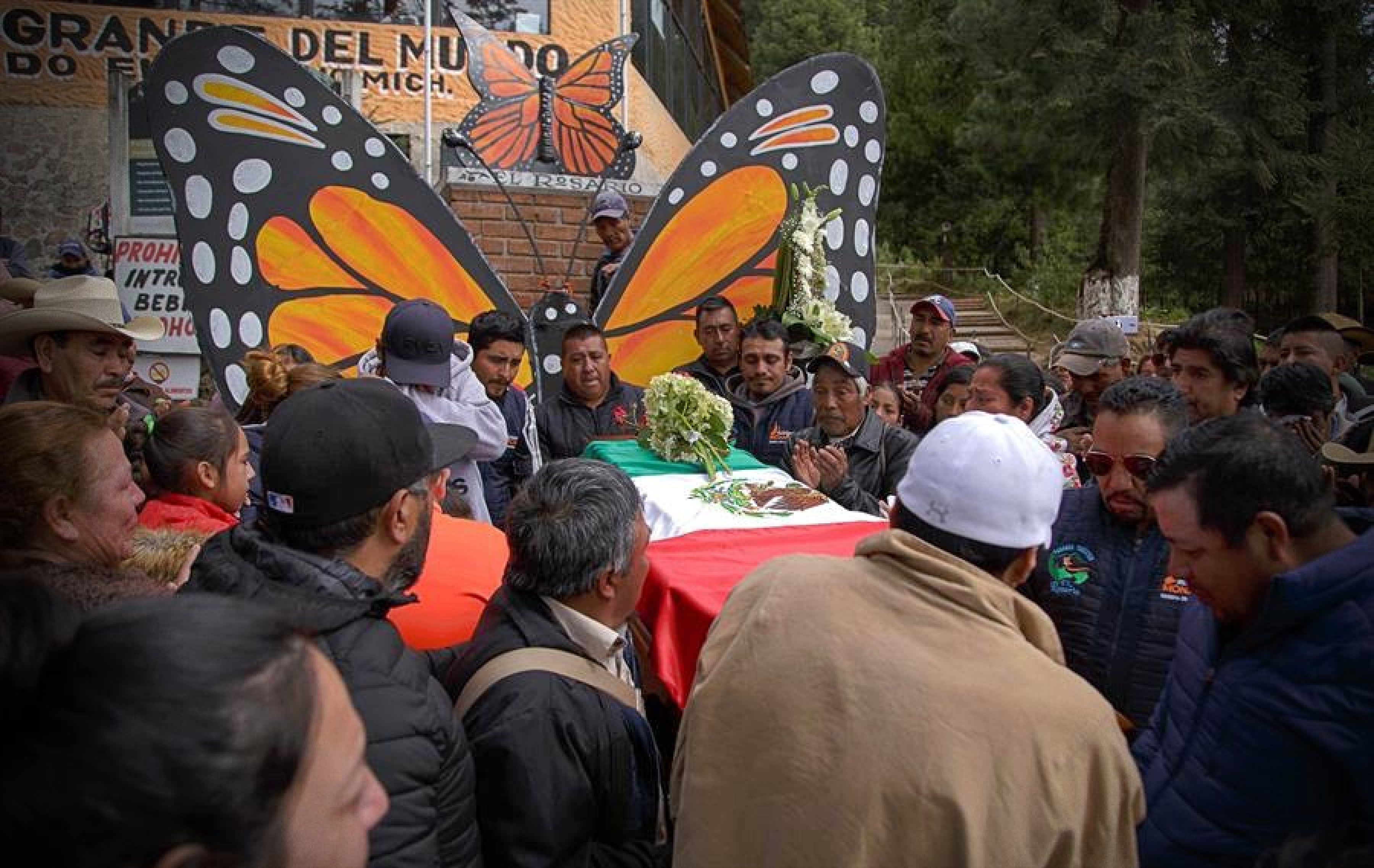 La UNESCO urge a esclarecer las muertes de dos defensores de la mariposa monarca