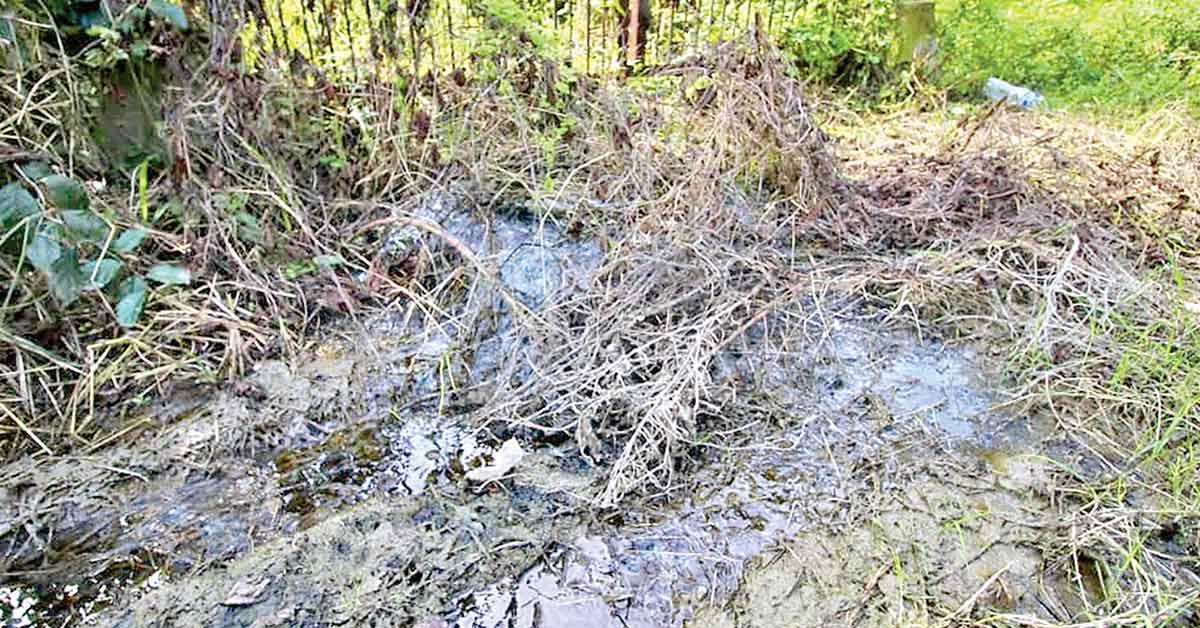 Obra inconclusa, foco de contaminación, en Papantla (Veracruz)