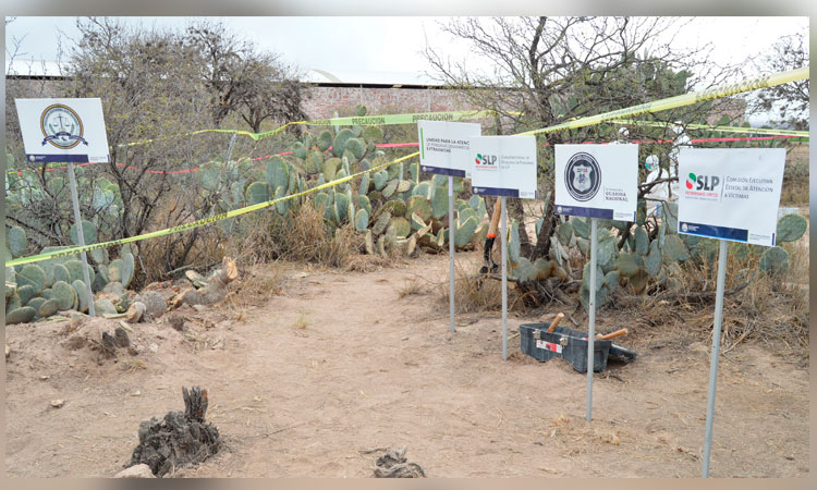 Encuentran fosas clandestinas en Moctezuma, San Luis Potosí