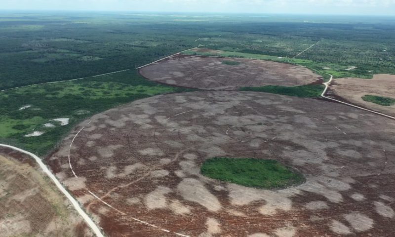 Un cacique del agua en el paraíso maya