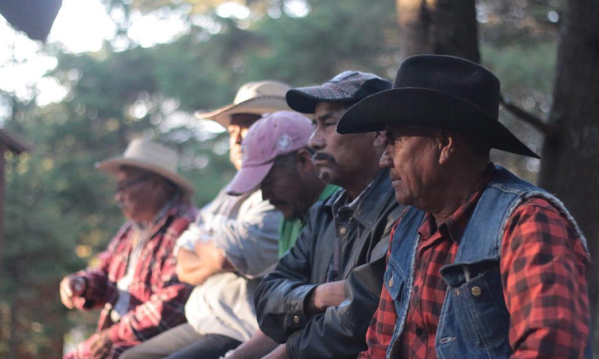 Meseta purépecha: la violación sistemática a derechos de indígena (Michoacán)