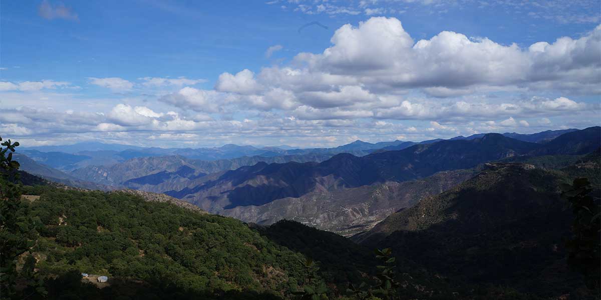 Dejan desprotegida la Reserva de la Biósfera (Guanajuato)