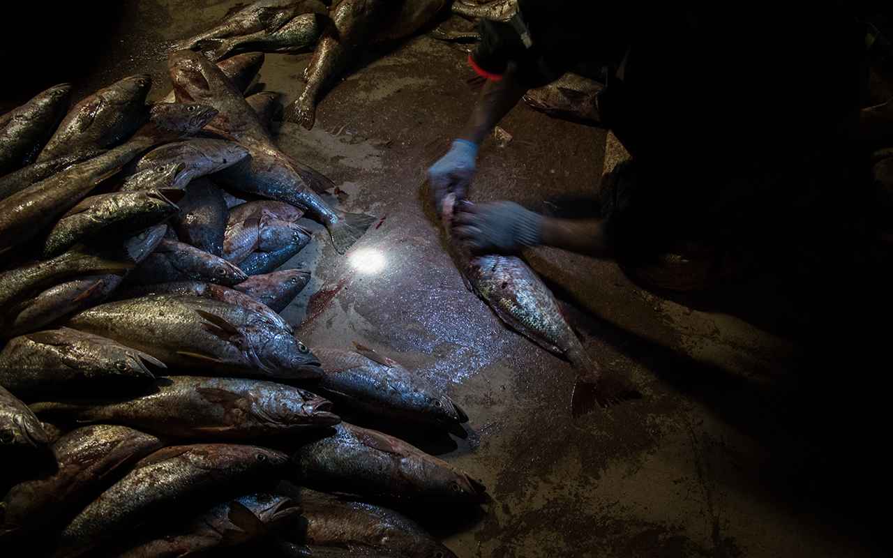 La emergencia sanitaria pone en riesgo la pesca de indígenas Cucapá (Baja California)