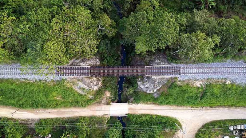 Cerca de 200 ONG piden frenar obras del Tren Maya durante la emergencia