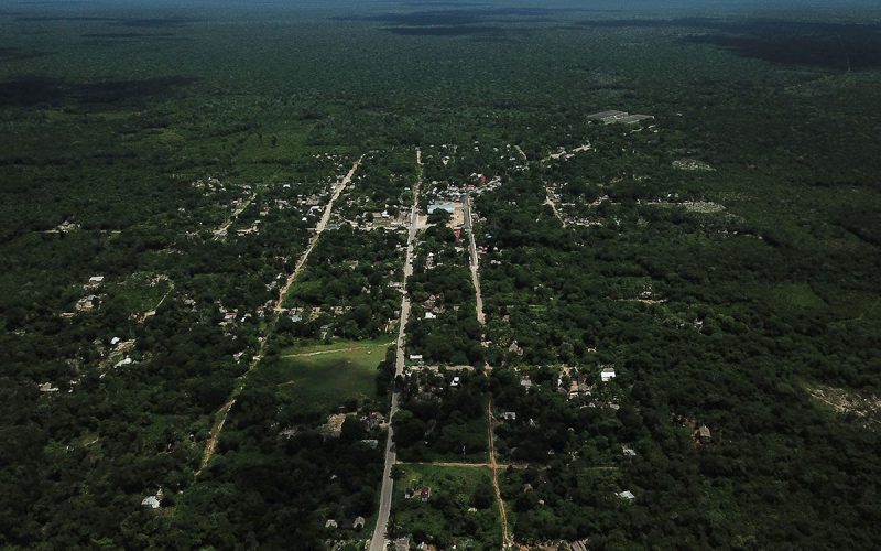 Piden que se detengan obras del Tren Maya en Yucatán por emergencia sanitaria