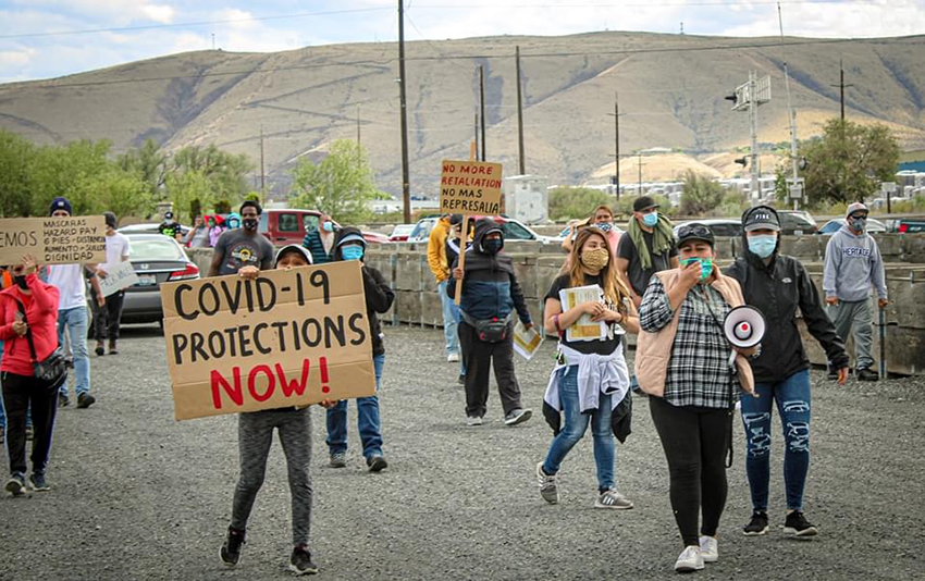 Protestan empacadores de manzanas Washington en USA