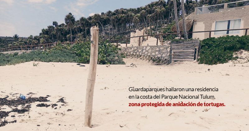 Una mansión y la tala de palma en hotel de Palazuelos amenazan área protegida en Tulum, acusan