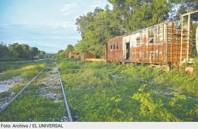 Gobierno va por desmontar más de 11 mil árboles en fase 1 del Tren Maya