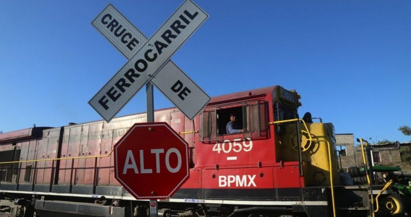 El estudio ambiental del Tren Maya alerta sobre la fragilidad del suelo por donde pasará la obra