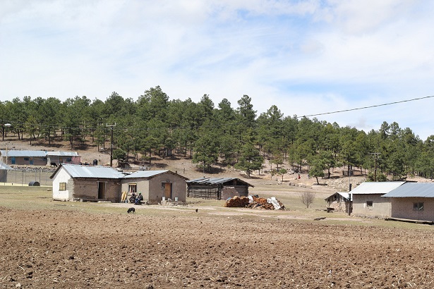 ‘Nueva normalidad’ en la Sierra Tarahumara, desigual y deshumanizante (Chihuahua)