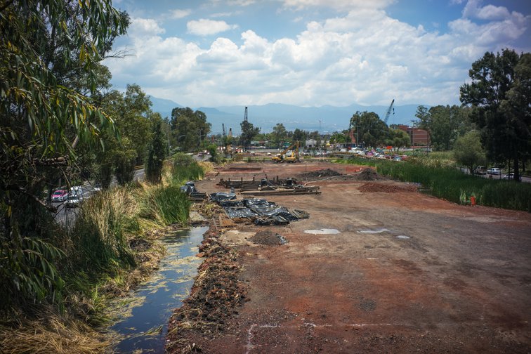 Protegiendo el humedal de Xochimilco: la Ciudad de México sigue urbanizándose sobre un lago