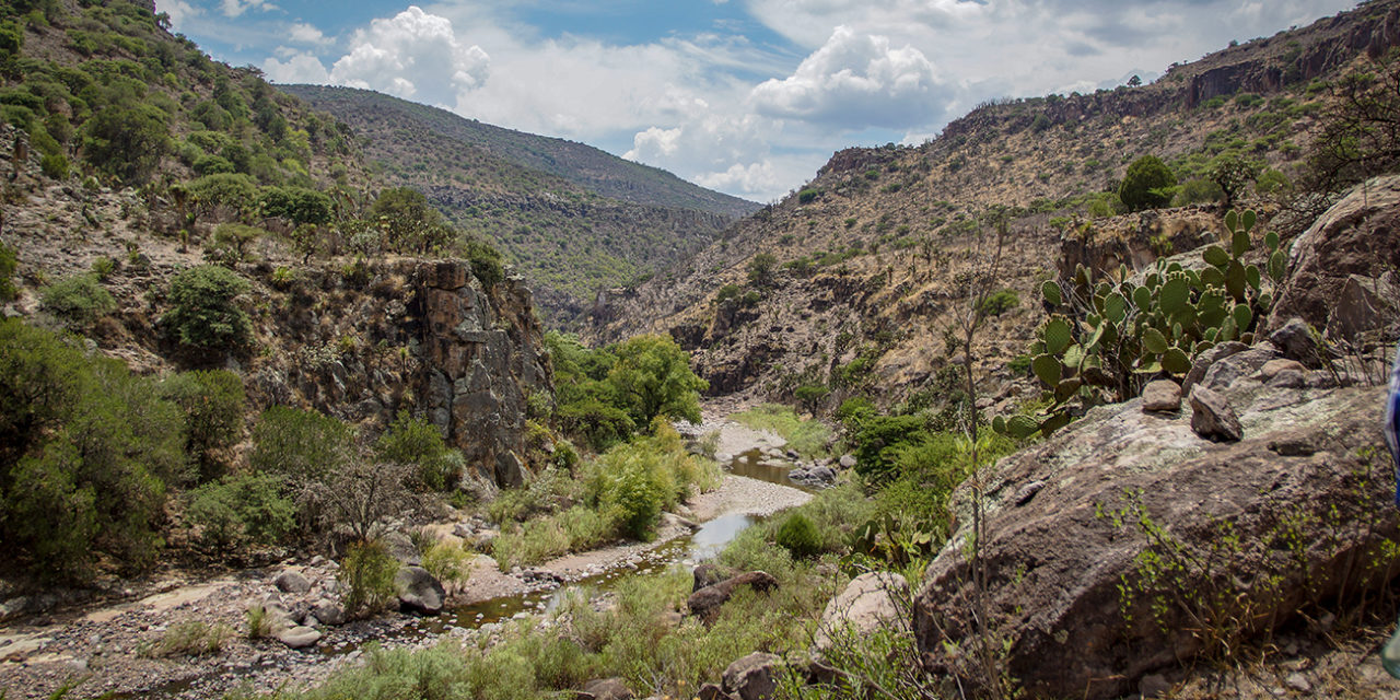 Presa Milpillas: la pelea por el agua en Zacatecas