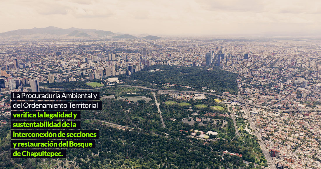 Chapultepec, listo para el mayor espacio bicultural del país. Los vecinos dudan y exigen consulta (Ciudad de México)