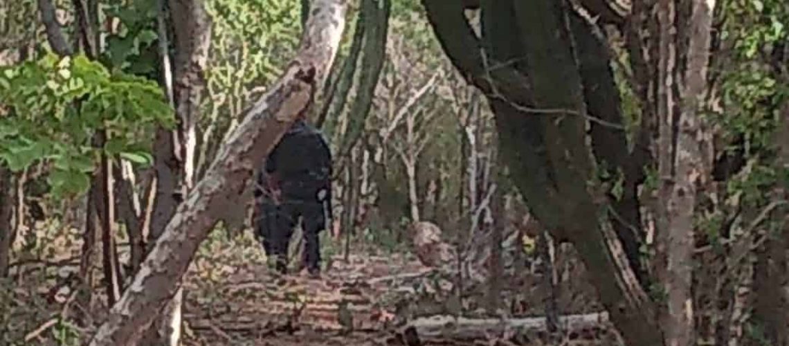 ‘Rastreadoras’ localizan huesos humanos cerca de San Blas (Sinaloa)
