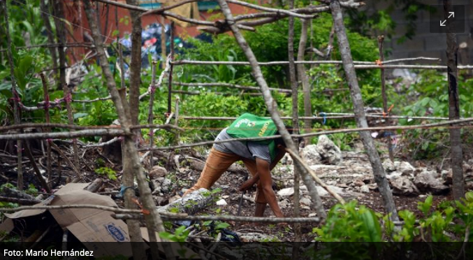 Cerca de 300 familias se instalan en un terreno irregular de Cancún