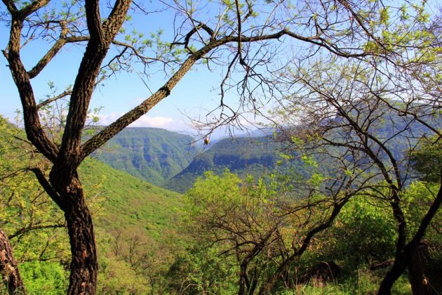 Vecinos de Huentitán anuncian nuevo frente contra Distrito Iconia (Jalisco)