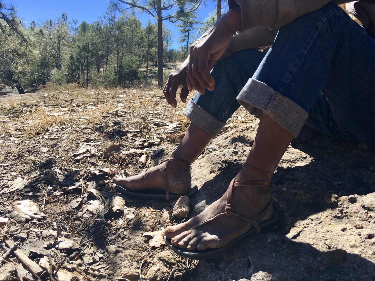 Desplazamiento forzado en la Tarahumara: obligados a dejar su comunidad y su bosque (Chihuahua)