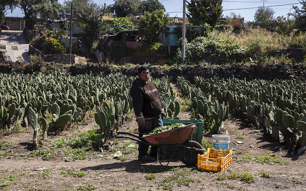 Pobladores de Milpa Alta denuncian saqueo de agua para colonias céntricas de CDMX