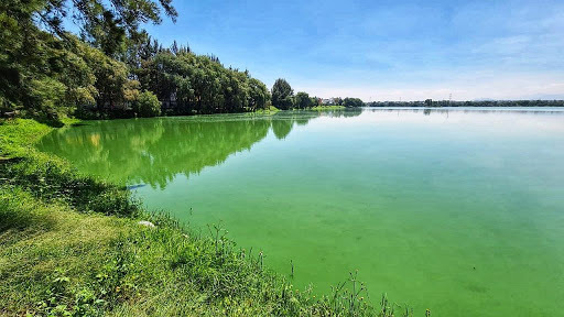 Acusan hostigamiento contra defensores de la Laguna de Axotlán, en Cuautitlán Izcalli (Estado de México)