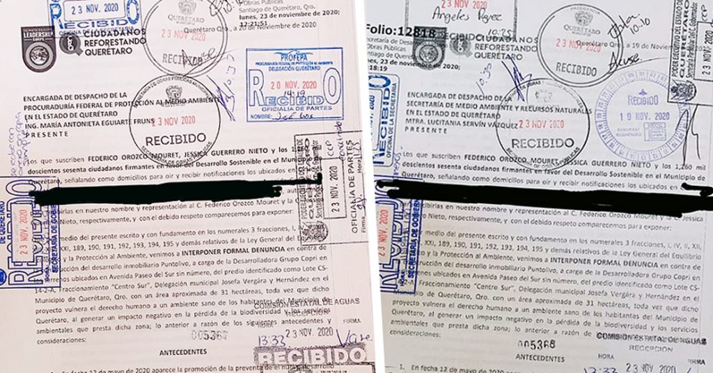 Denuncian ante Semarnat y Profepa la construcción de “Punto Olivo”, en Querétaro